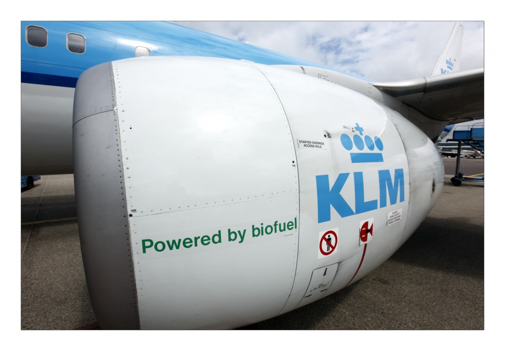bio-fuel