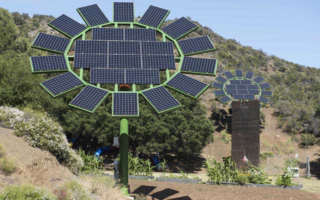 Sunflower_Solar_Panel