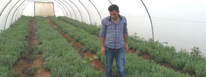 securing water for food