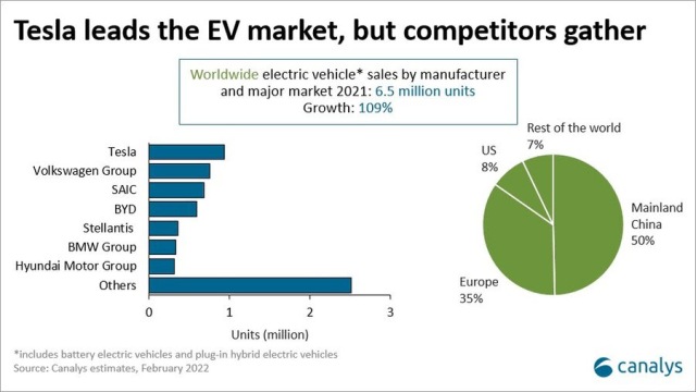 EV market leaders