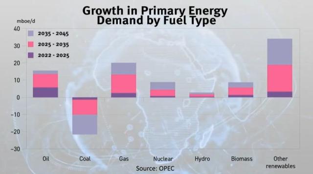 OPEC forecast on energy demand for 2024