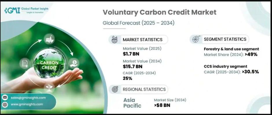 Report on voluntary carbon credit market 2025