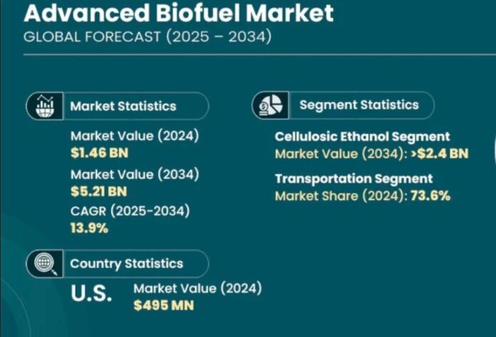 Forecast on advanced biofuel market size