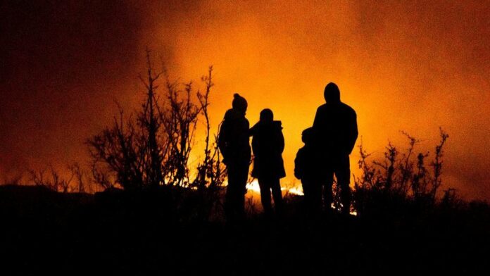 Forest and global warming