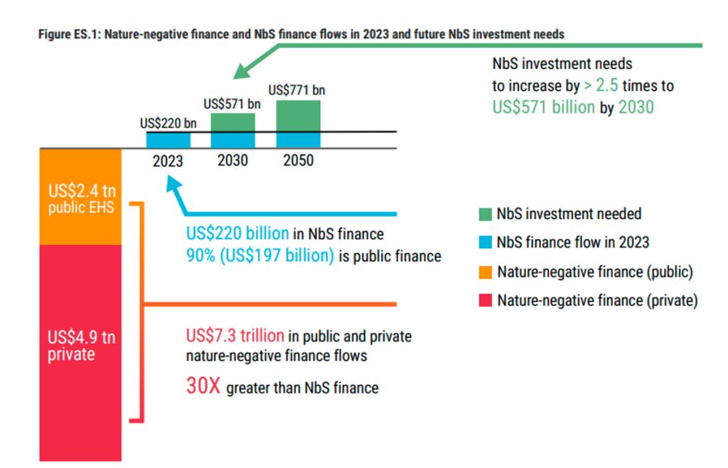 UNEP's State of Finance for Nature 2026 report