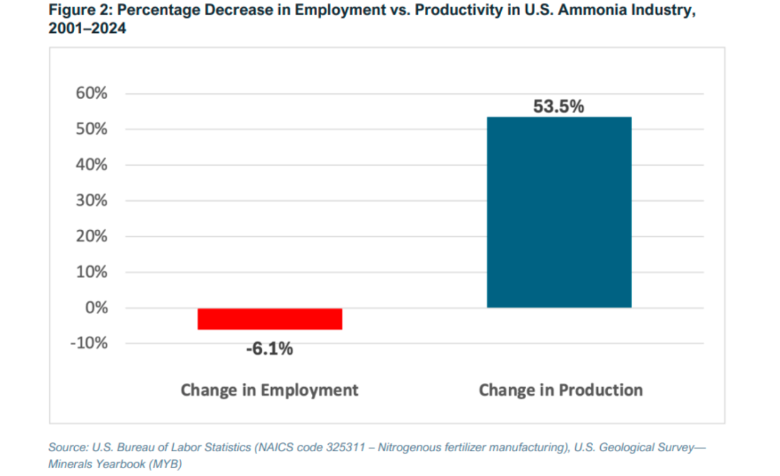 Ammonia industry job and production 2024
