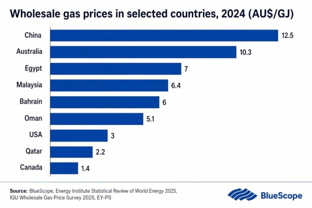 Wholesale gas price 2024 IEEFA report