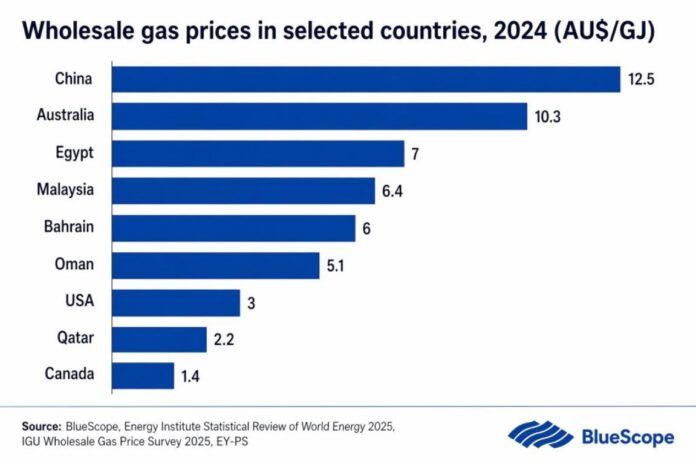 Wholesale gas price 2024 IEEFA report