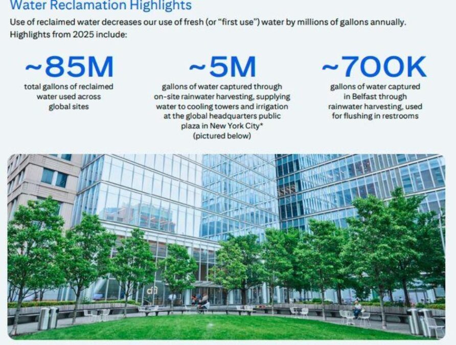 Citi sustainability report 2025